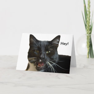 Carte d'anniversaire : Ou autre chat