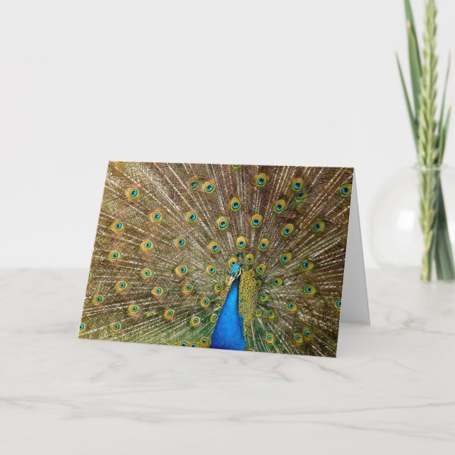 Carte d'anniversaire Peacock (Devant)