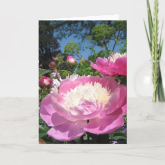 Carte d'anniversaire Peony