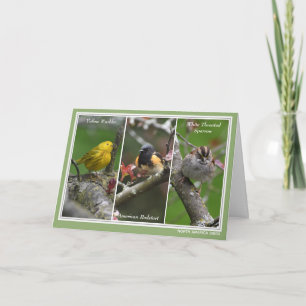 Carte d'anniversaire personnalisée avec des oiseau