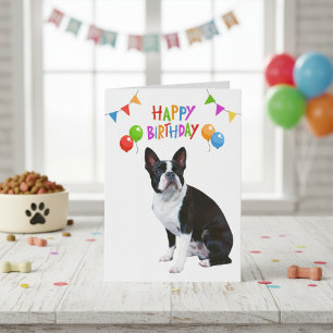 Carte d'anniversaire personnalisée Boston Terrier 