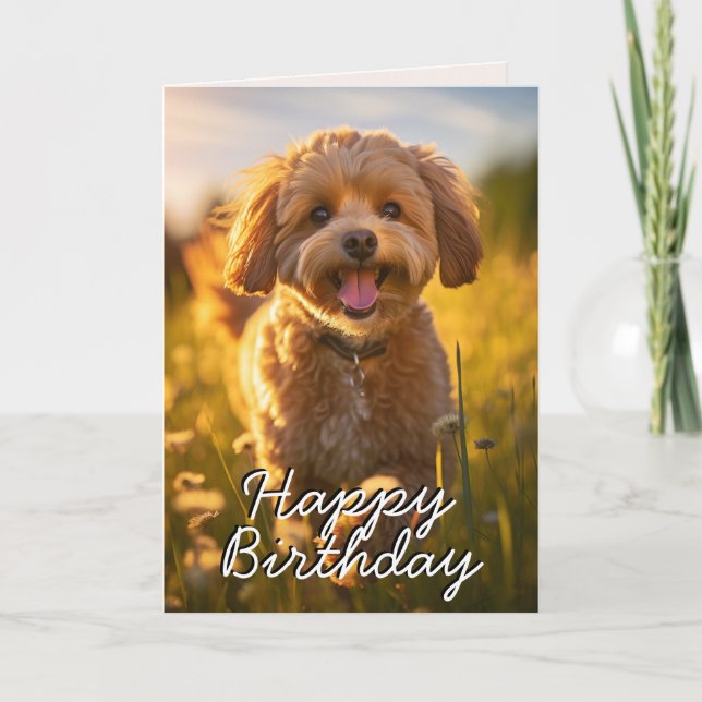 Carte d'Anniversaire Personnalisée Cavoodle/Cavapo (Devant)