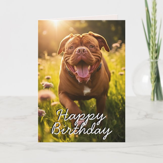 Carte d'anniversaire personnalisée Dogue de Bordea (Devant)