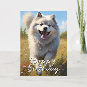Carte d'anniversaire personnalisée Keeshond