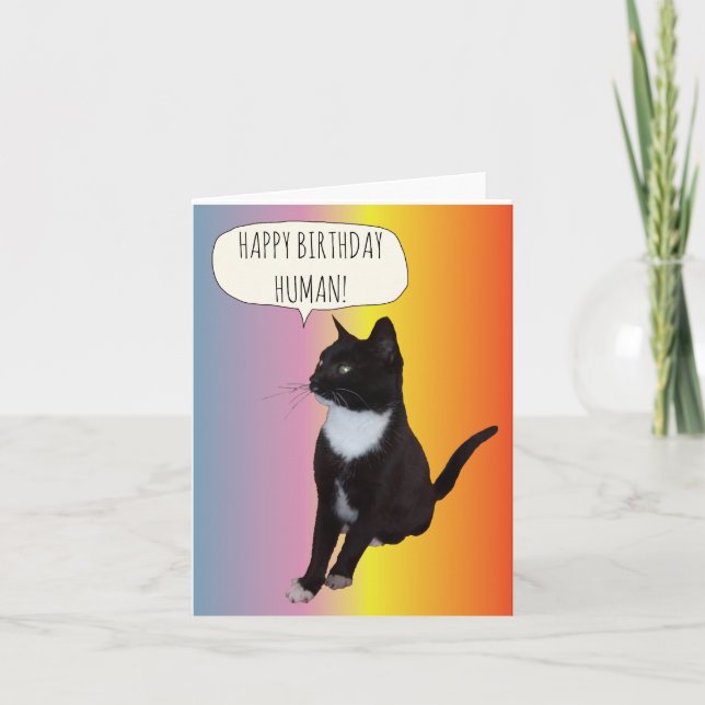 Carte d'anniversaire personnalisée pour chat noir  (Devant)