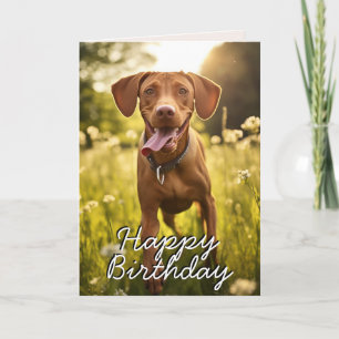 Carte d'anniversaire personnalisée Vizsla