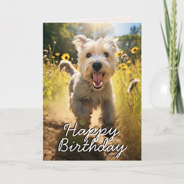Carte d'anniversaire personnalisée Wheaten Terrier (Devant)
