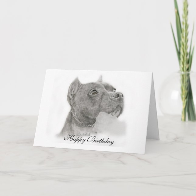 Carte d'anniversaire Pit Bull (Devant)