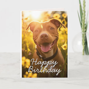 Carte d'anniversaire Pitbull personnalisée