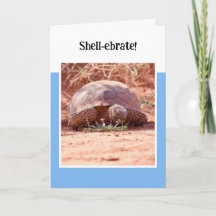 Carte d'anniversaire pliée Tortue du désert
