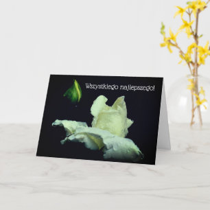 Carte d'anniversaire polonaise Sto Lat White Roseb