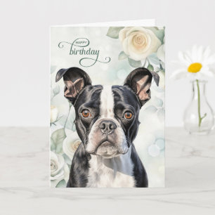 Carte d'anniversaire pour chien Boston Terrier ave