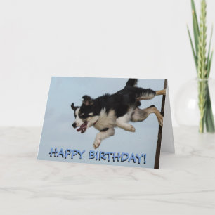Carte d'anniversaire pour chien de collier frontal