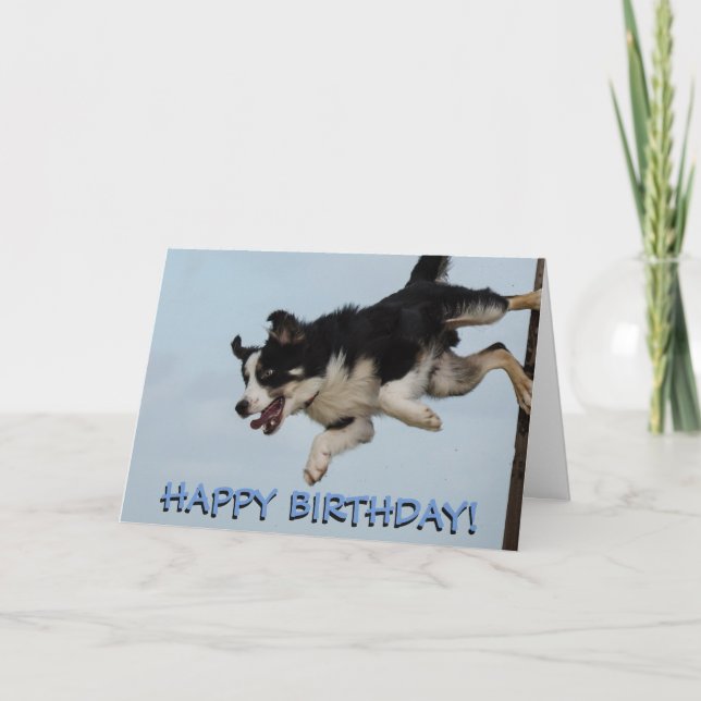 Carte d'anniversaire pour chien de collier frontal (Devant)