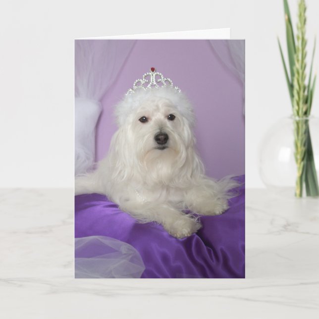 Carte d'anniversaire pour la petite-fille -- (Devant)