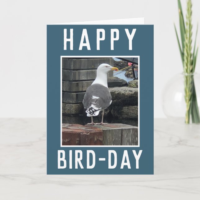 Carte d'anniversaire pour les amateurs d'oiseaux (Devant)