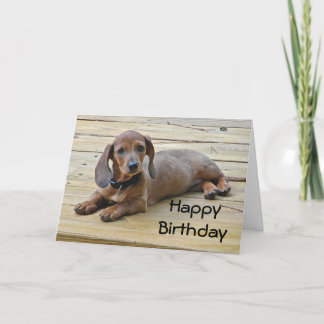 Carte d'anniversaire pour marionnettistes BW-Dachs