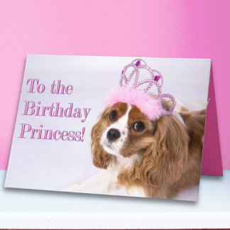 Carte d'anniversaire Princesse Cavalier King Charl