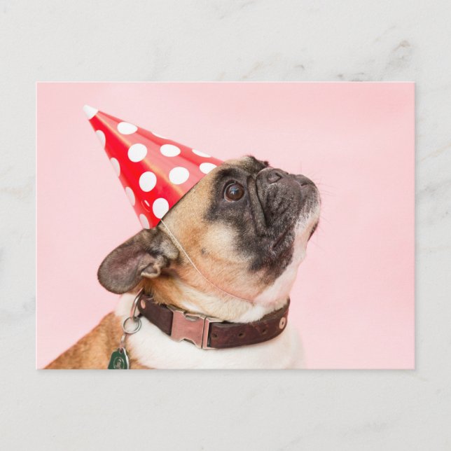 Carte d'anniversaire Pug (Devant)