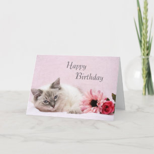 Carte d'anniversaire Ragdoll