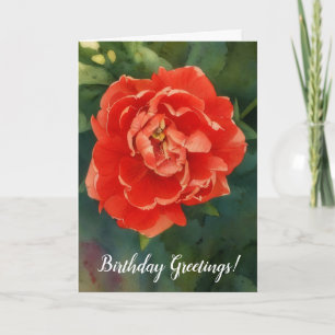 Carte d'anniversaire Red Double Petal Tulip