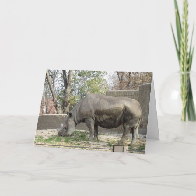 Carte d'anniversaire Rhino (Devant)