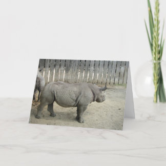 Carte d'anniversaire Rhino !