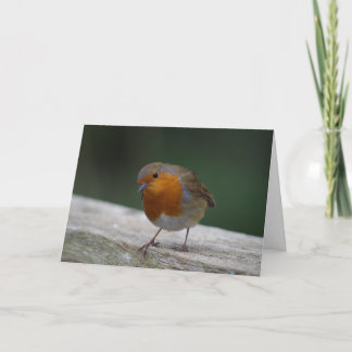 Carte d'anniversaire Robin