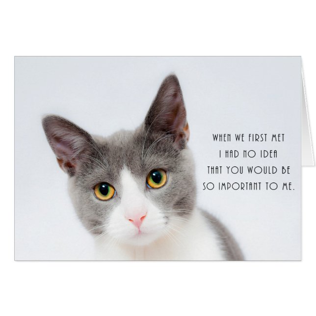 Carte d'anniversaire romantique d'amour de chat (Devant horizontal)