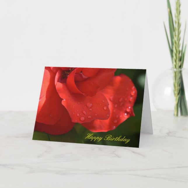 Carte d'anniversaire rose de rosée (Devant)