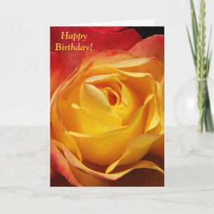 Carte d'anniversaire rose d'orange