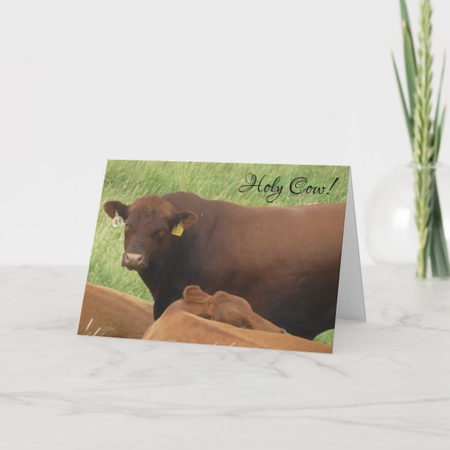 Carte d'anniversaire Sainte Vache (Devant)