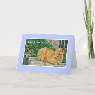 Carte d'anniversaire, Salutation italienne, Ginger