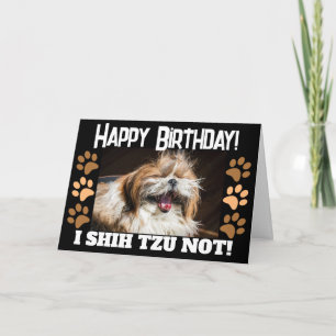 Carte d'anniversaire Shih tzu pas drôle 