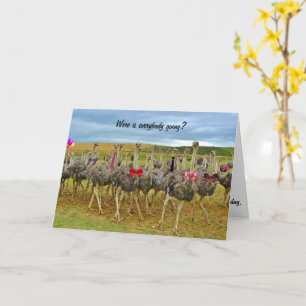 Carte D'Anniversaire Silly Où Tout Le Monde Va