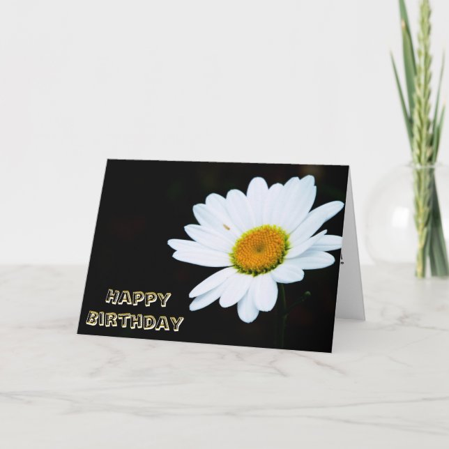 Carte d'anniversaire simple de marguerite (Devant)