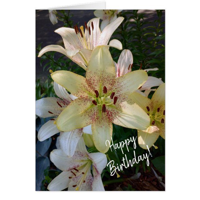 Carte d'anniversaire Speckted Yellow Lily Flowers (Devant)