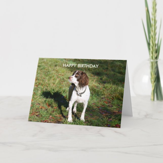 Carte d'anniversaire Springer Spaniel HEUREUSE (Devant)