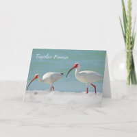 Carte d'anniversaire, style de la Floride