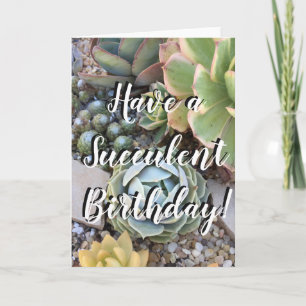Carte d'anniversaire Succulente