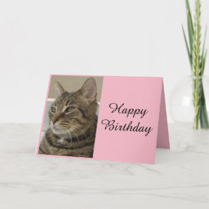 Carte d'anniversaire Tabby Cat