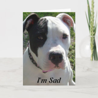 Carte d'anniversaire tardive avec le chien de