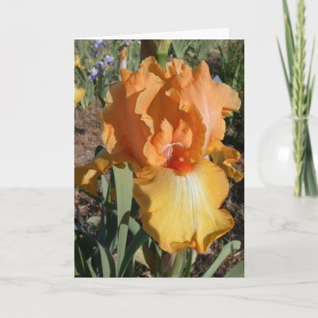 Carte d'anniversaire tardive - mémoire (Devant)