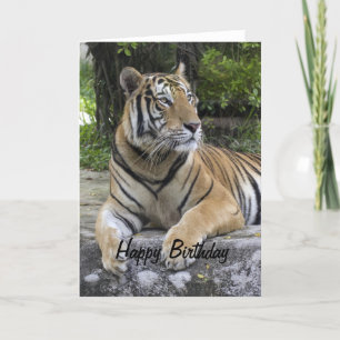 Carte d'anniversaire Tiger Blank