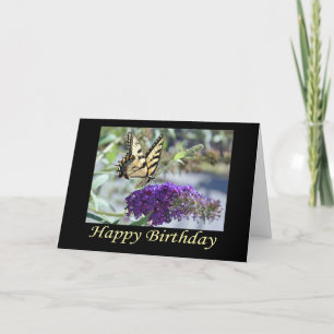 Carte d'anniversaire Tiger Swallowtail Button