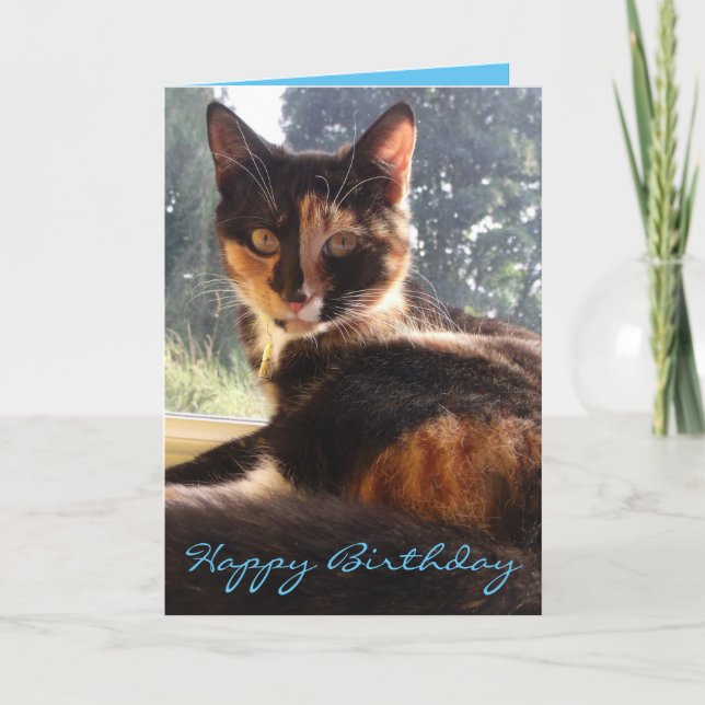 carte d'anniversaire tortie (Devant)