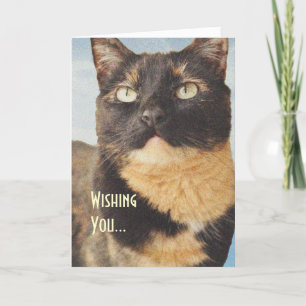 Carte d'anniversaire Tortoise Shell Cat