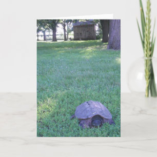 Carte d'anniversaire "Tortue serpentine du village