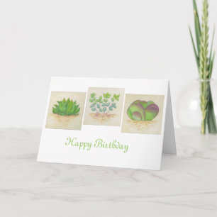 Carte d'anniversaire trio Succulente
