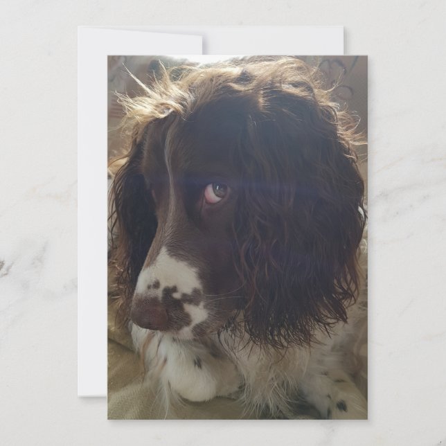 Carte d'anniversaire vide 5x7 (Devant)